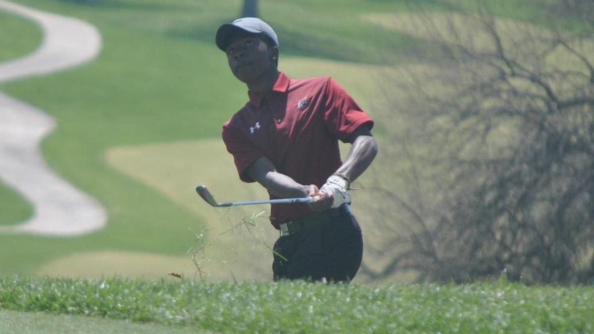 Kohlin Hicks of Lee’s Summit North watches his chip shot land on the No. 9 green during the Class 4 District 7 golf tournament April 30 at the Fred Arbanas Golf Course. Hicks shot an 86 and advanced to next week’s Class 4 sectional meet.