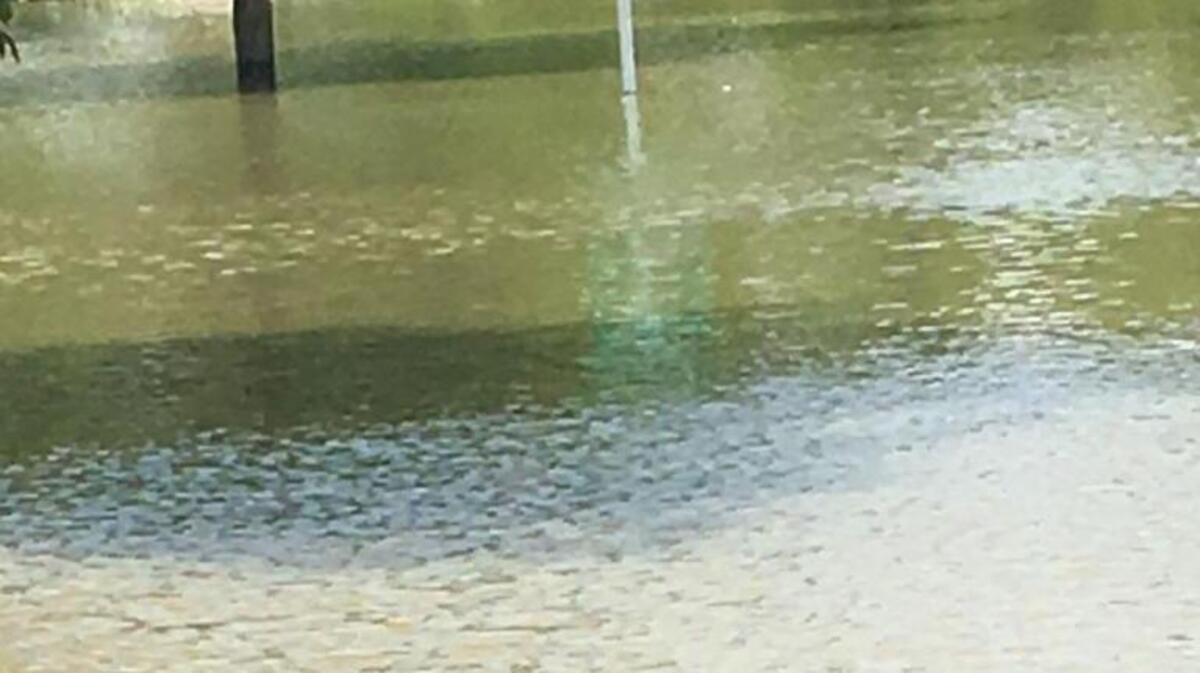 Maybrook creek looked a bit more like a river after recent storms.