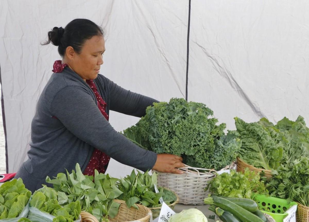 At a recent Lee’s Summit Farmers Market, farmer and vendor Lee Meh added bunches of kale to a basket in her produce stall. A refugee from Thailand, Meh is in her third year of Catholic Charities’ four-year Roots for Refugees training program, which is teaching her Midwest farming techniques in preparation to operate her own produce farm.