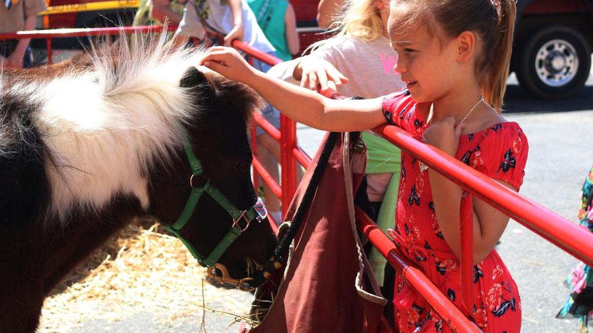 Alexandria Baumgart, 6, pets a pony from Side Track Ranch at Special Needs Day in downtown Lee’s Summit Saturday afternoon.