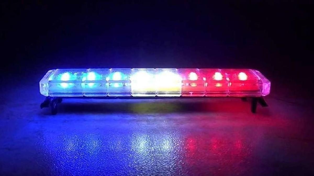 Johnathan Echols, 54, and Freddie Jones, 52, were found dead Thursday in a residence in the 3400 block of Chestnut Avenue.