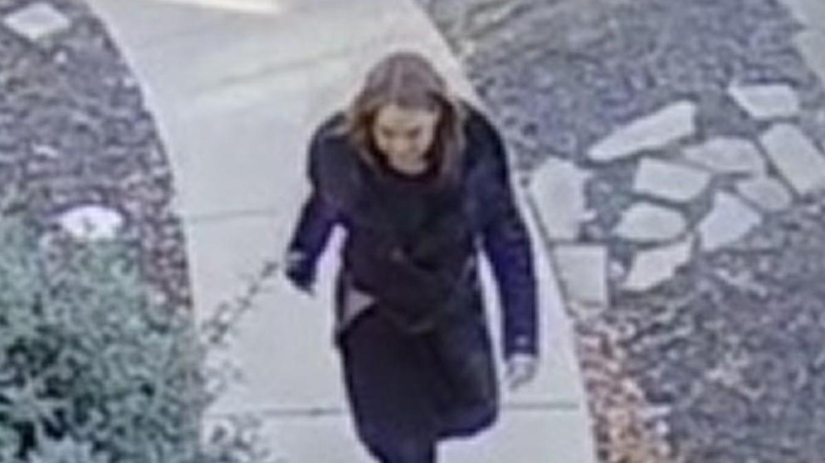 Kansas City police released photos of a woman suspected of stealing packages from Northland homes.