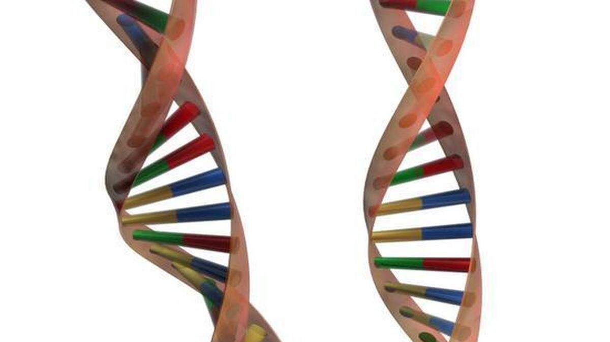 
A DNA sample was recovered at the time of the 2006 assault, but it hadn’t been matched with a suspect. That match occurred in January, according to court documents, after Samuel Flores was arrested in an unrelated incident.
