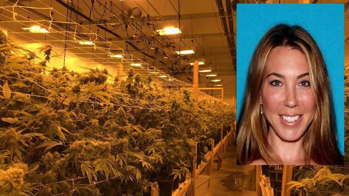 Stephanie Smith is accused of running a marijuana ring that reportedly brought in millions of dollars each month and included tens of thousands of plants.