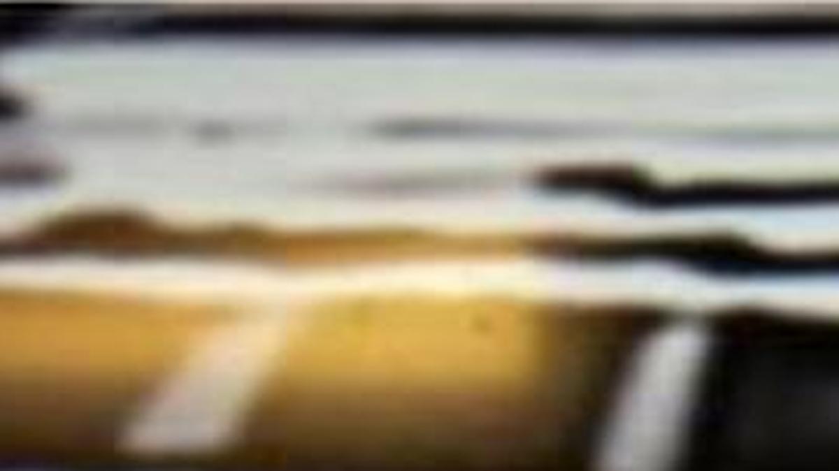
Police were looking for two suspects and the driver of this gold Chevy sport-utility vehicle.
