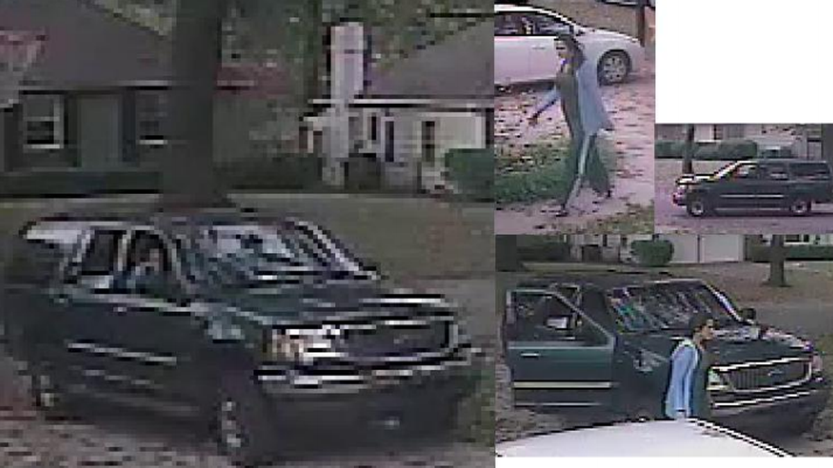 Suspect and vehicle
