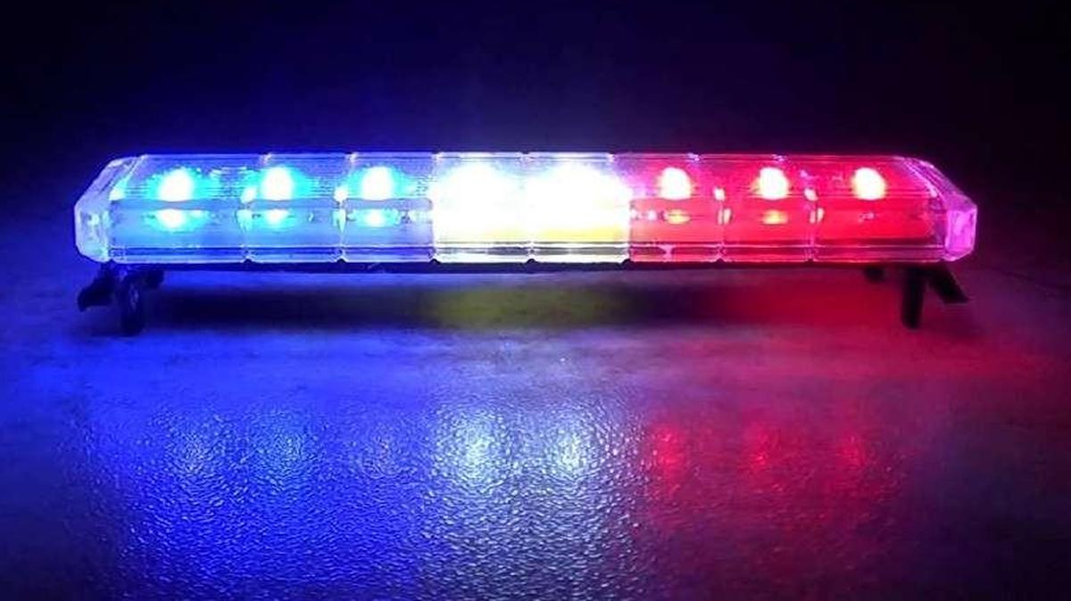 Curlie Pruitt II, 36, and Roy L. House, 38, addresses unknown, were charged Thursday with being felons in possession of a firearm.