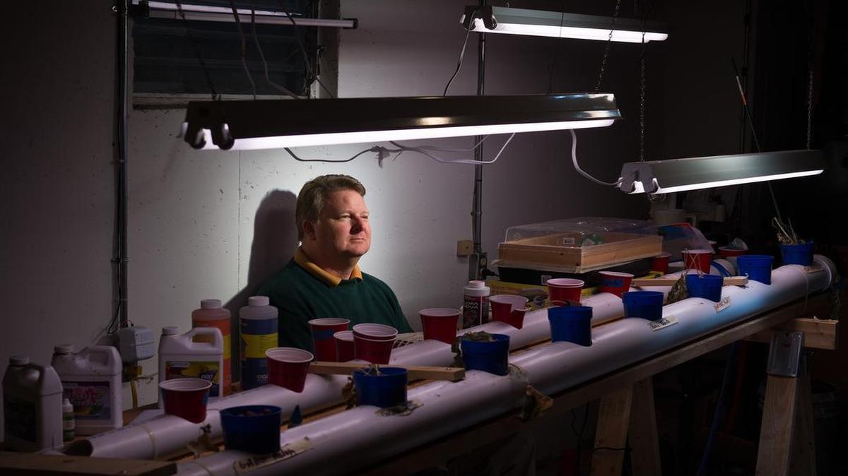 Robert Harte of Leawood suspected for a year that the reason a Johnson County sheriff’s tactical team searched their home for drugs was their visit to a hydroponics store as part of a project with his son to grow indoor tomatoes.