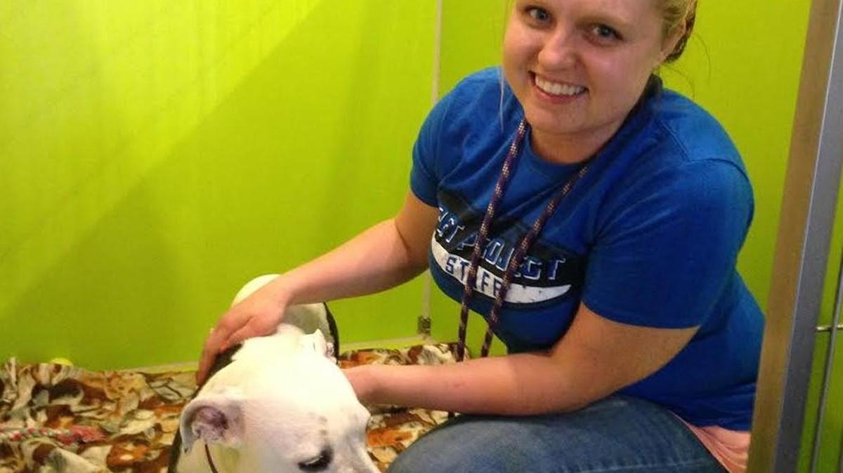 On Saturday, Izzy, a 1-year-old dog up for adoption, waited for attention from KC Pet Project worker Alex Beauchamp. The shelter is running a Memorial Day weekend special on adoption fees.