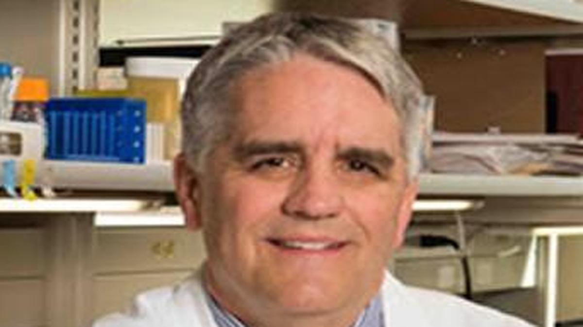 Roy Jensen, director of the University of Kansas Cancer Center, said the center faces a rigorous evaluation process in its bid to be designated a National Cancer Institute comprehensive cancer center.