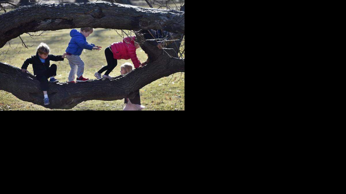 
It was a fine day for exploring, and that's just what this group of pre-kindergarten students from Pembroke Hill School did, Tuesday at Loose Park. Finn Coulson (from left) Charlie Coulson, Paige Piper and Lucy Stilwell (rear) enjoyed the sunshine and mild temperatures almost as much as they did the climbing. Wednesday’s high could be record breaking.
