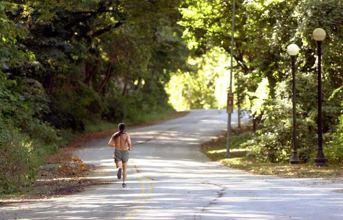 Cliff Drive is a popular spot for joggers and bicyclists.