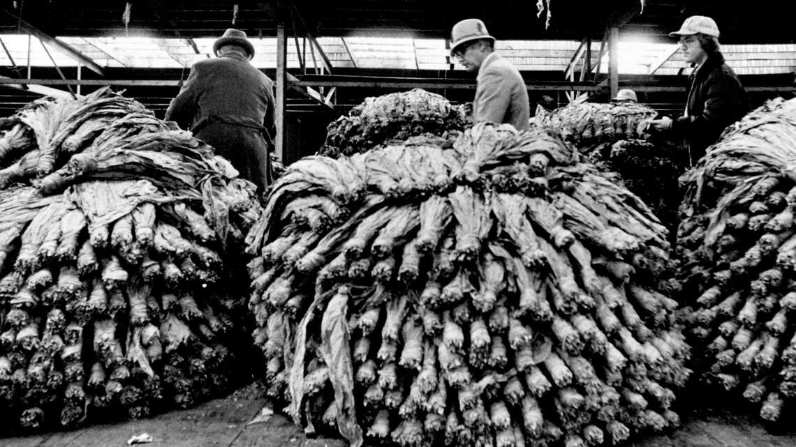 Photos show time when Weston was the only active tobacco market west of Mississippi River