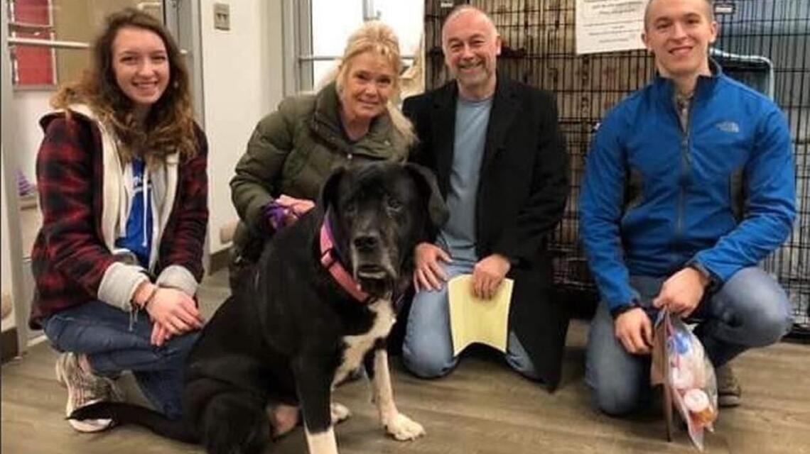 Just in time for Christmas: Polina adopted after 445 days at KC Pet Project shelter