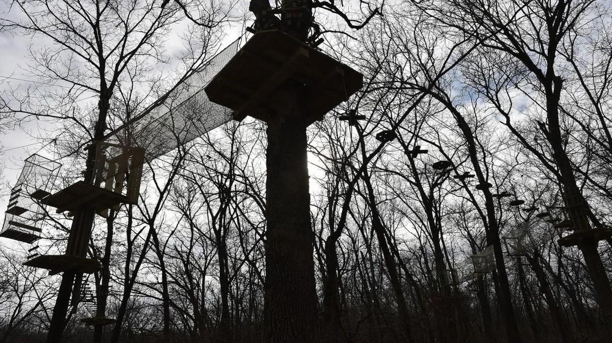 The high rope crossings between platforms in the Go Ape attraction, as well as elements on the course, have names such as fisherman’s trap (vertical cage on far left), the Tibetan bridge (net crossing left) and tic tac toe (right crossing).