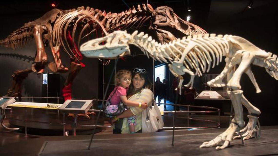 Erica Knetter and daughter Emma Knetter, 5, of Tonganoxie, Kan., studied an exhibit on Tyrannosaurus rex in motion Saturday at the opening of “Dinosaurs: Ancient Fossils, New Discoveries” at the Museum at Prairiefire in Overland Park. The exhibit runs through July 12.