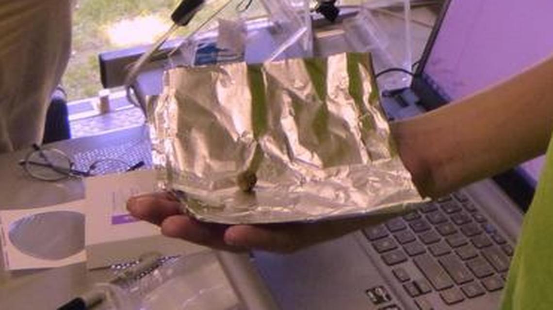 
Volunteer Adam Ziegler found an iron ball while volunteering to help archaeologists uncover remnants of a Native American settlement east of Arkansas City, Kan., in June. The ball was fired by a Spanish cannon at ancestors of the Wichita tribe, who ambushed an expedition led by Don Juan de Onate in 1601, according to Don Blakeslee, an archaeologist who led a study of the site.
