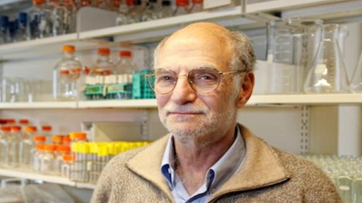Michael Rosbash, the Peter Gruber Endowed Chair in Neuroscience at Brandeis University, is one of three to share the 2017 Nobel Prize in physiology or medicine.