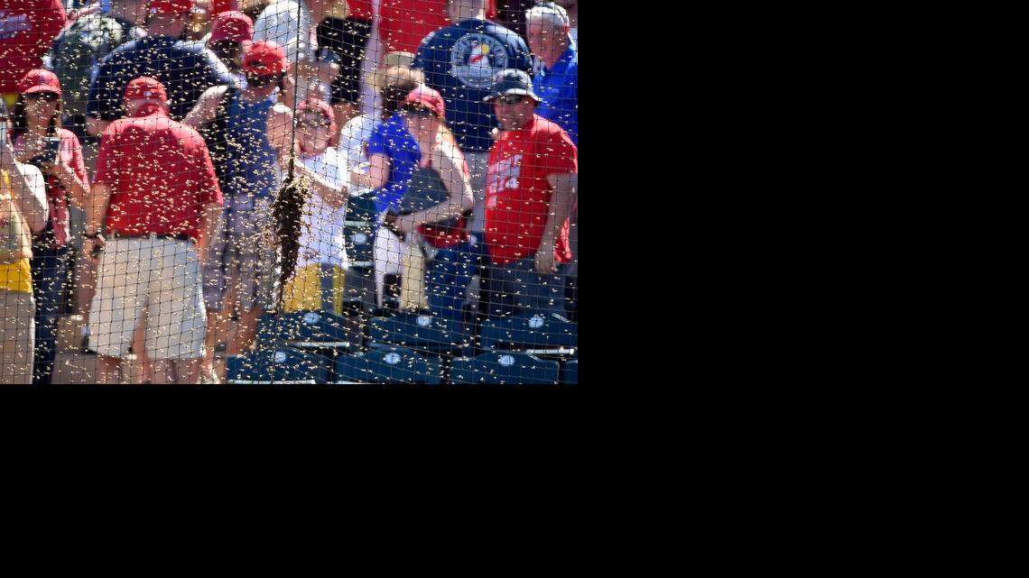 
Fans move away from a swarm of bees that landed on the backstop netting and delayed the start of Sunday's spring training game between the Kansas City Royals and Los Angeles Angels on March 8, 2015 in Tempe, Ariz.
