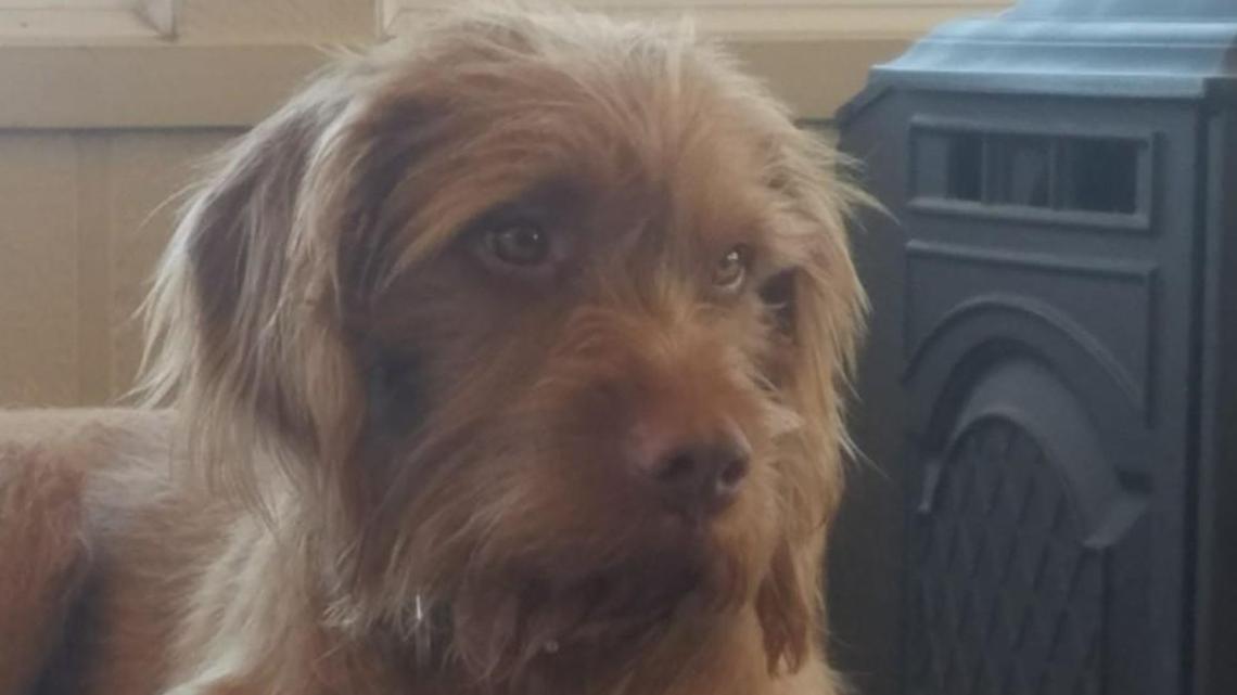 Angus P. Woolley’s name apparently won’t appear on the ballot.