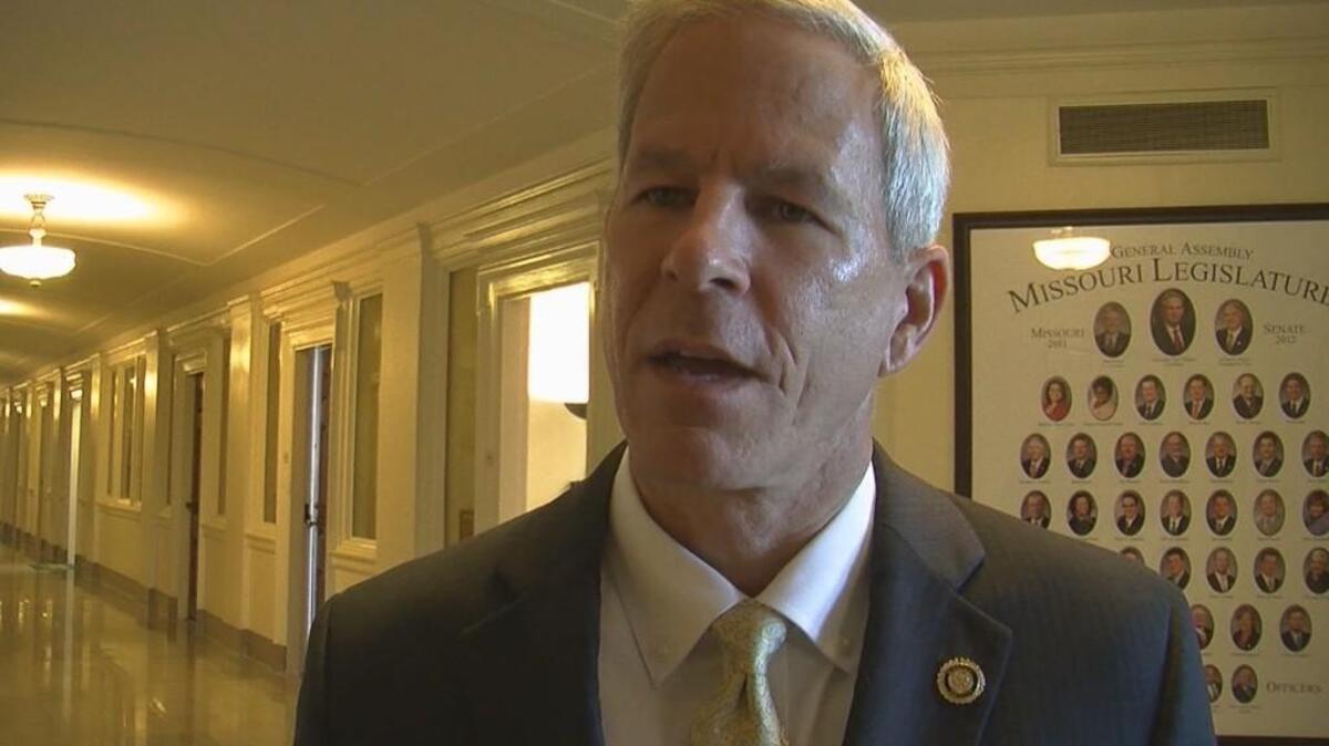 State senator has a plan for wringing out the influence of special ...