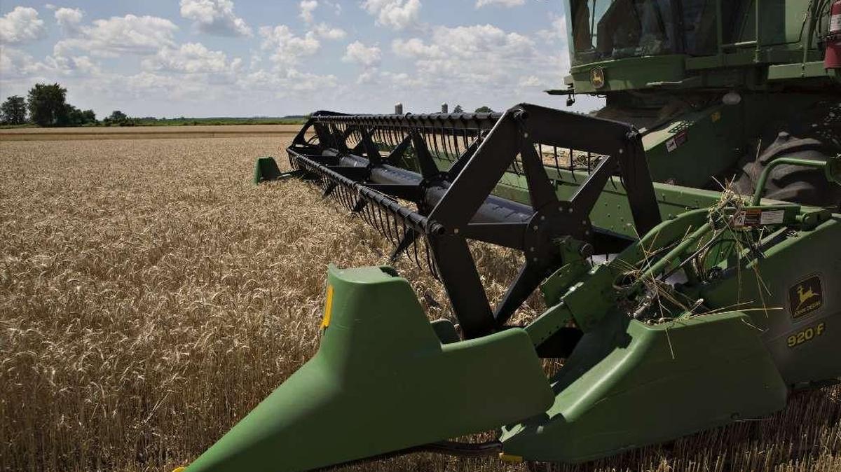 Soft red winter wheat is harvested in Kirkland, Illinois, in July. Daniel Acker/Bloomberg