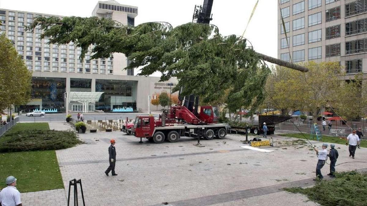 The Mayor’s Christmas tree, a 100-foot-tall Douglas fir, was unloaded at Crown Center Square on Thursday, Nov. 5, 2015, after making a 2,000-mile journey from Oregon. Kansas City Mayor Sly James and a celebrity guest will flip the switch during a lighting ceremony at 5:30 p.m. on Friday, Nov. 27.