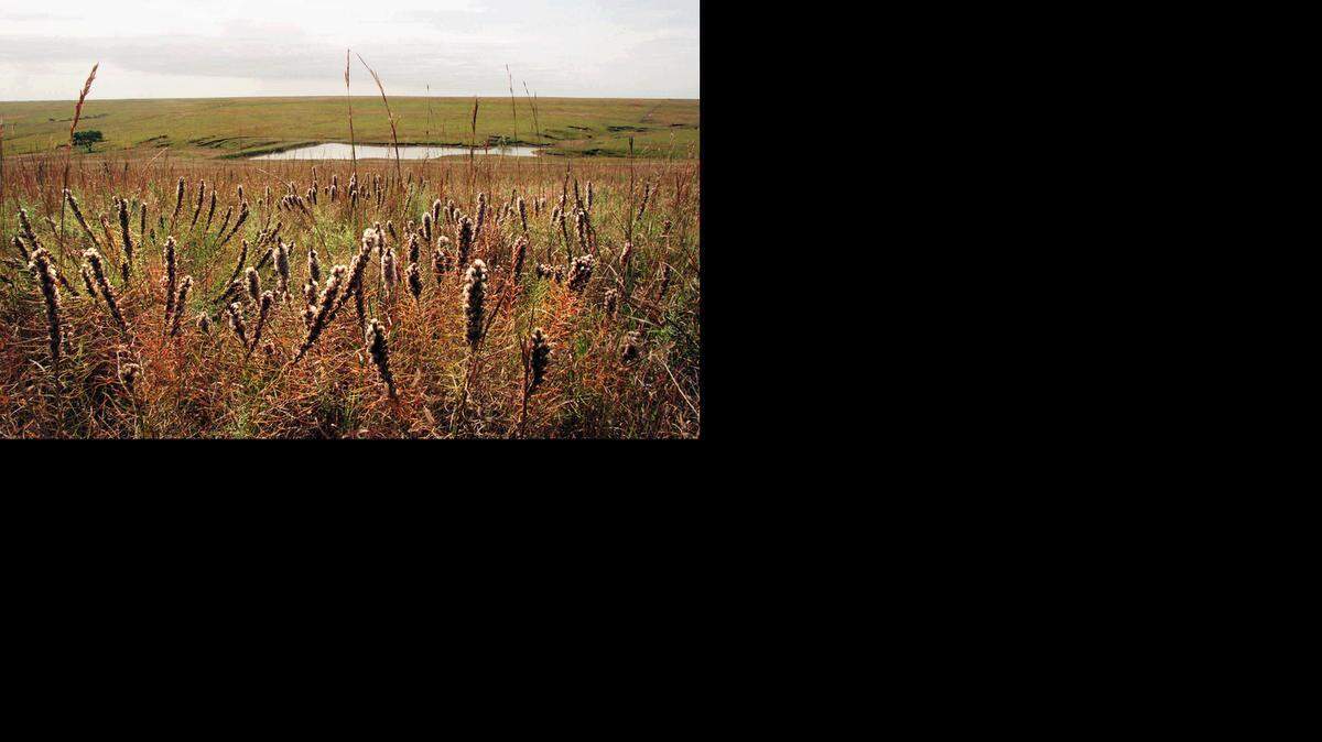 
The Kansas Turnpike Authority is considering building an outlook along I-35 so drivers can stop to take in the scenic Flint Hills.
