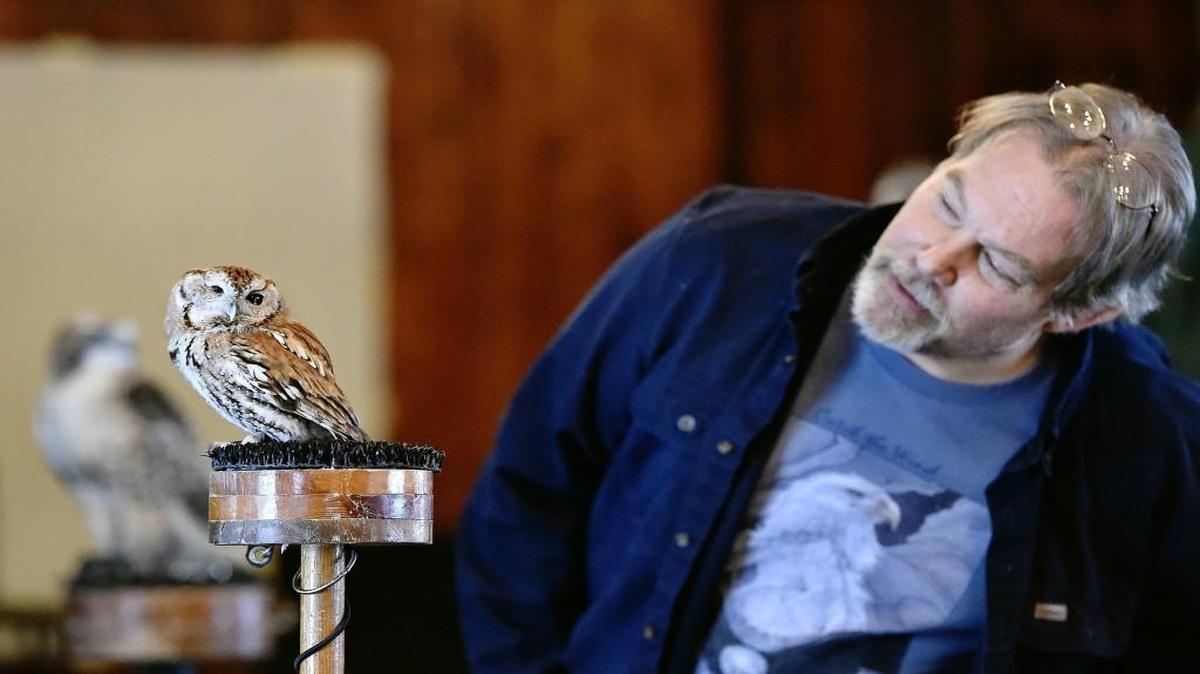 During his presentation Saturday, Operation WildLife volunteer Gary Crain peered at McGee, a one-eyed screech owl, who eventually turned his head to look at Crain.