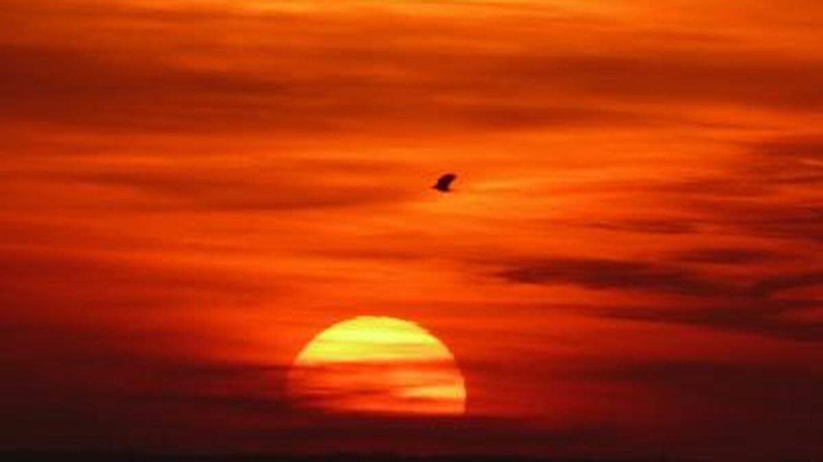 
Did you point out a beautiful sunset to a friend? Count that as an accomplishment.