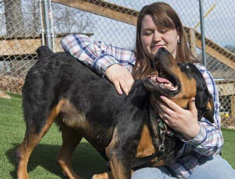 Lost Missouri dog is found — five years and many miles away