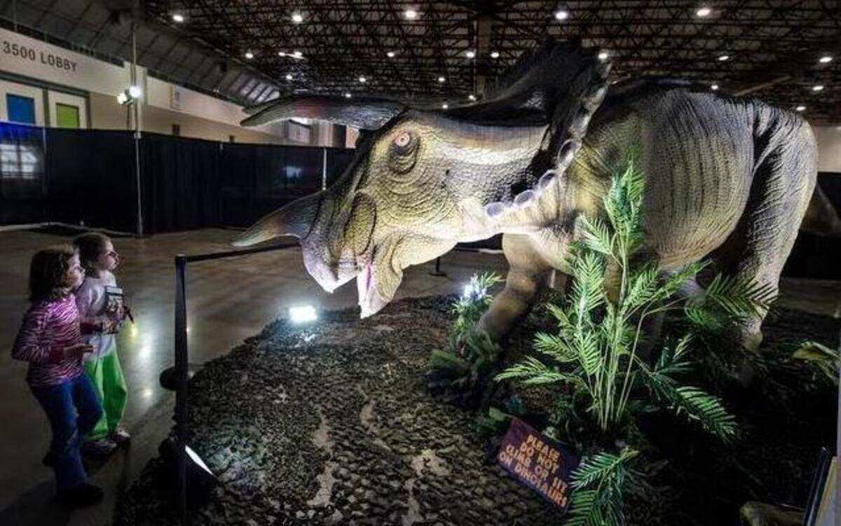 
Melana Dominguez (left) and her friend Myana Chinnery, both 7, examined an animatronic Triceratops at the Discover the Dinosaurs show Saturday at Bartle Hall in Kansas City. The show, which includes exhibits and dozens of moving dinosaur models, runs through Sunday.
