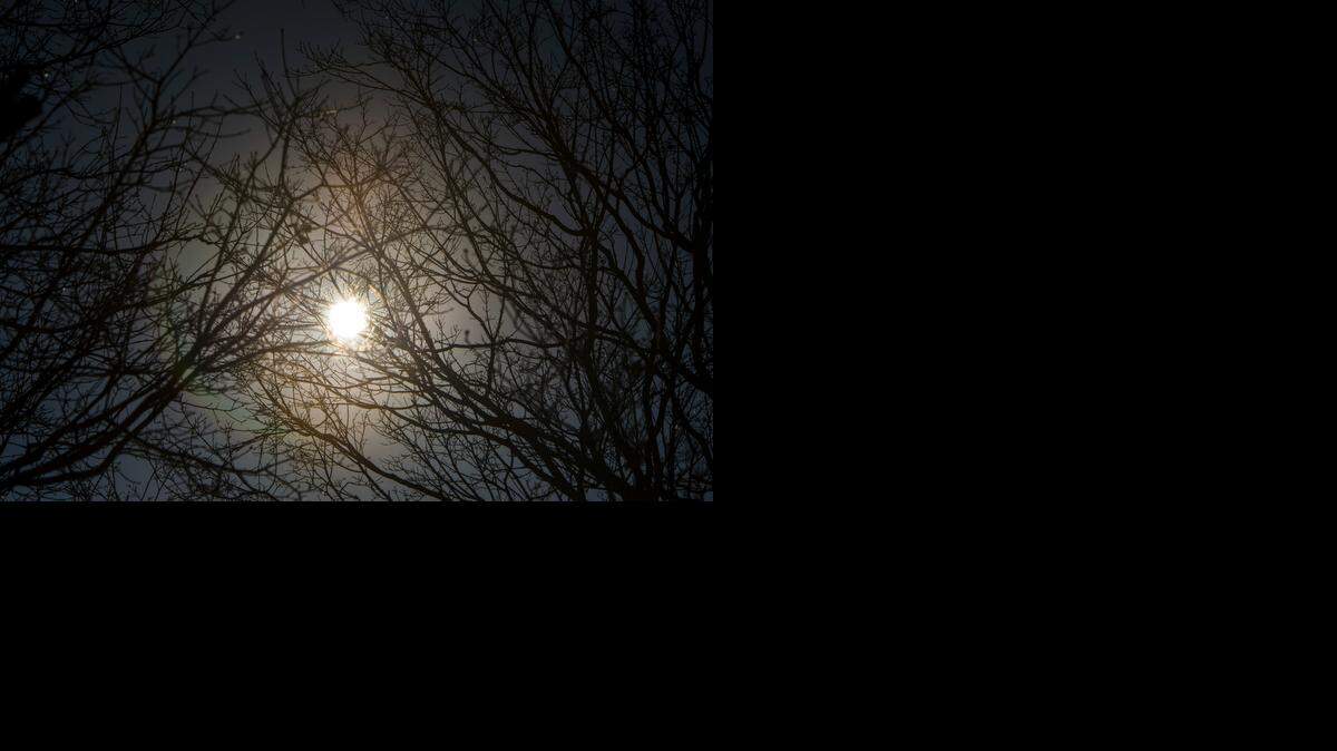 
The sun shines brightly between tree limbs in Kansas City on Tuesday. Despite the pleasant temperatures in the mid-50s Tuesday, colder weather was expected to move into the area for the rest of the week.
