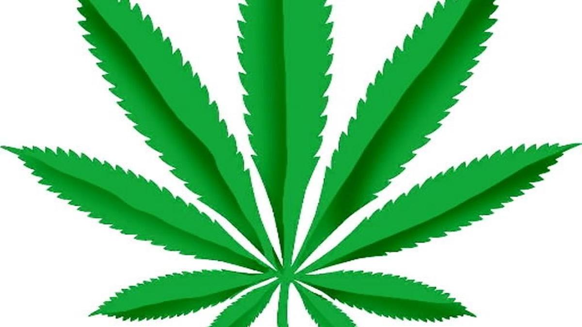 A group opposed to the legalization of marijuana is trying to spread its message around Missouri.