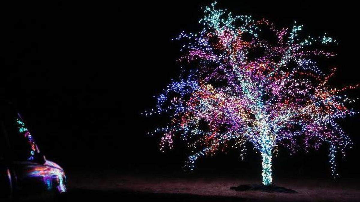 
The Magic Tree, at View High Drive and Interstate 470, draws nightly visitors who come to look at its glow or to take pictures. It will be lit through the holiday season and it’s free, with access off View High Drive.

