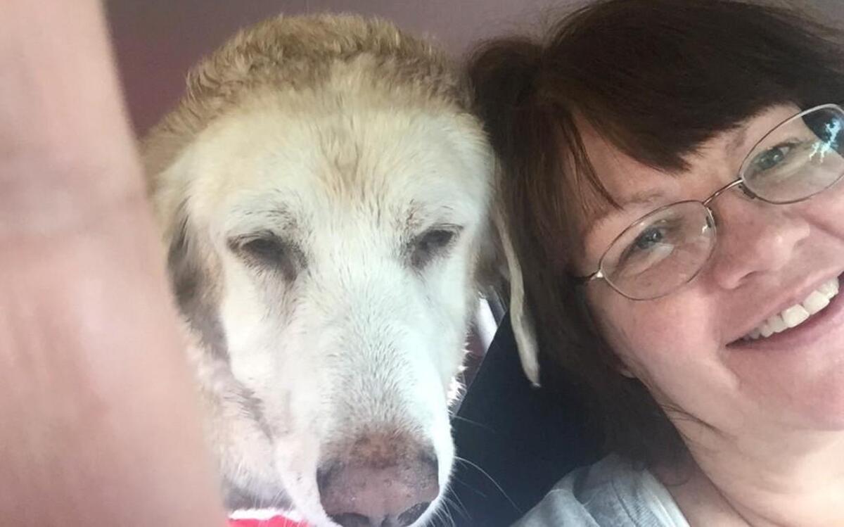 Nancy Conley riding home from a dog park with her dog, Wendy.