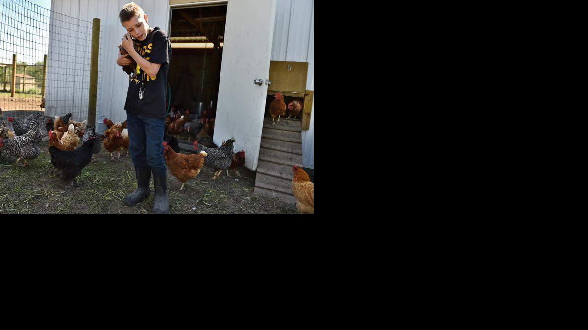 
Kody Saak cares for 158 chickens at the Drumm Farm Center for Children in Independence. Kody and his father, Rob Saak, chart weekly production, about 400 eggs.
