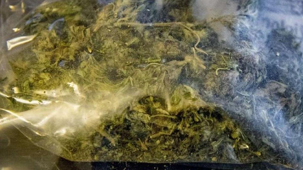 Marijuana became legal for recreational use in Coloradi in 2014.