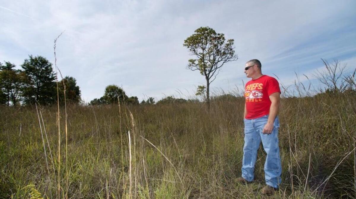 
“His desire was for this to be a living classroom,” says John George (pictured), here seen gazing across Boone County land donated by his friends Jim and Joanne Whitley to North Central Missouri College in Trenton. The college wants to sell the land located 15 miles north of Columbia; friends of the family want to avoid any development on the land, citing the wishes of the donors.


