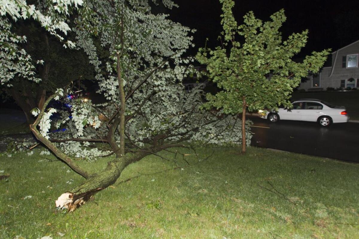 The residents of a house in the 10,000 blocke of West 91st Street in Overland Park said they were fortunate that the top of a tree in their front yard fell toward the street rather than on their house when a storm hit the area Saturday night. The storm knocked out power for thousands of residents in the metro area.