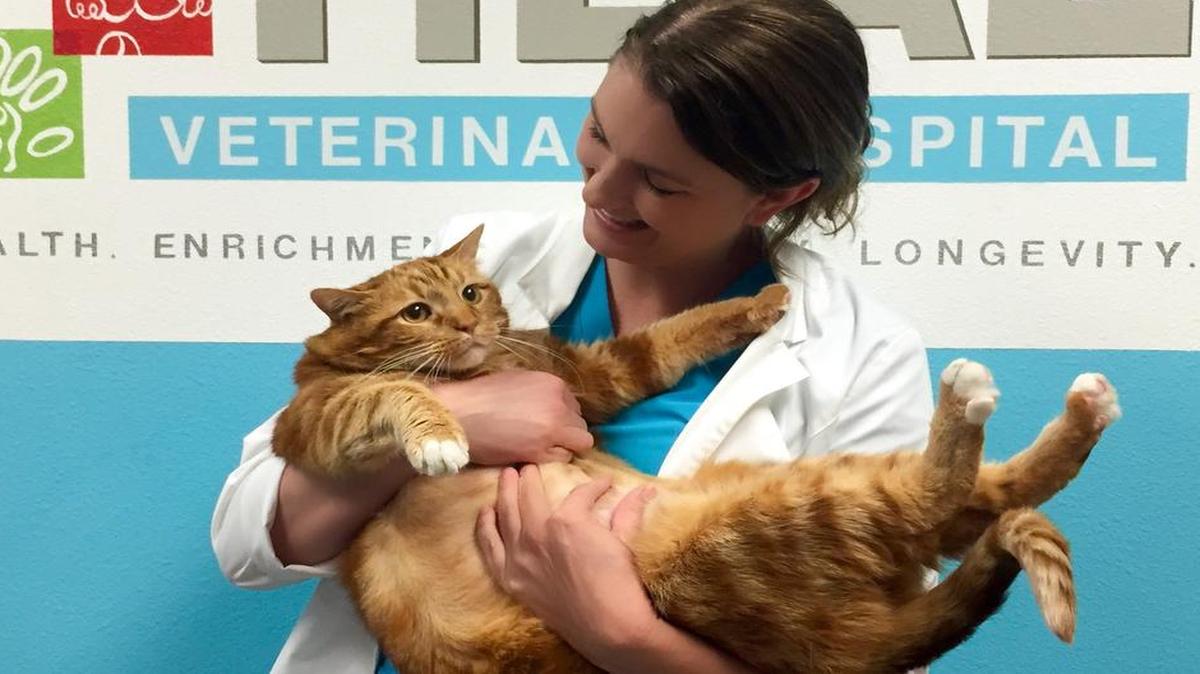
Brittney Barton holds Skinny, who when found wandering near Dallas in 2012 weighed in at 41 pounds.
