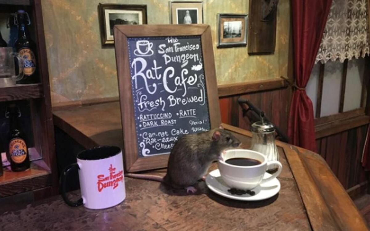 The San Francisco Dungeon is throwing a two-day, “immersive, pop-up” event called Rat Cafe.