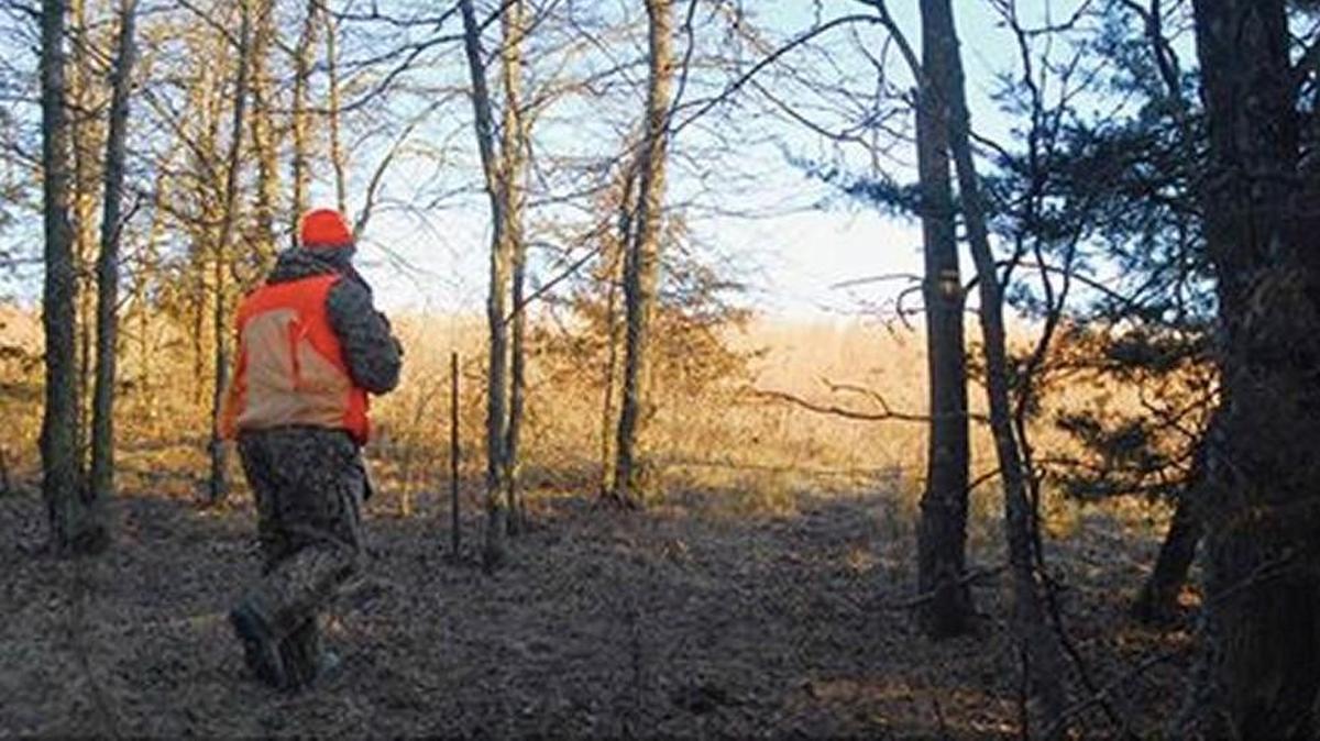 A bizarre accident involving a hunting dog and a gun left a New Hampshire man hunting pheasant in Iowa with a back full of pellets on Wednesday.