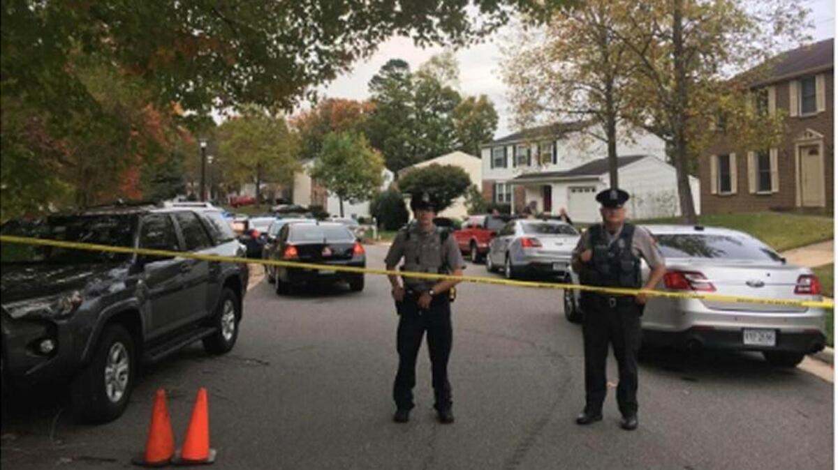 Neighbors in Springfield, Va. were shocked after a 70-year-old man attacked his wife with a hatchet then committed suicide with a chainsaw on Wednesday.
