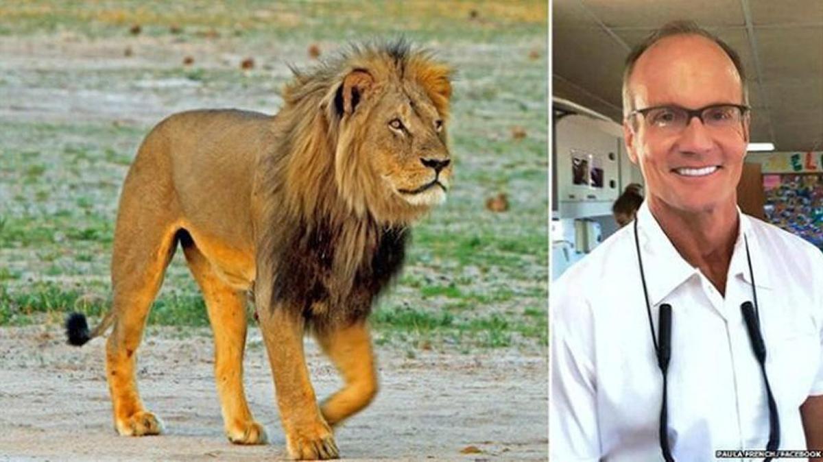 
Cecil the lion and Walter Palmer
