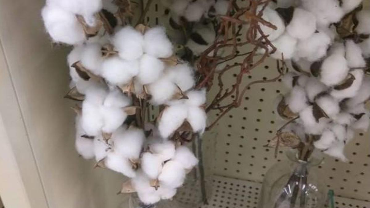 A black businesswoman in Texas took offense at seeing fake bolls of the textile plant used as vase decorations at a Hobby Lobby store.