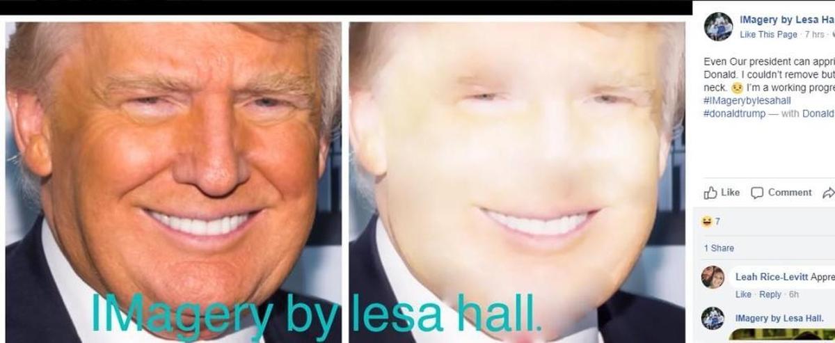 Even President Donald Trump’s likeness was altered to resemble the new style inspired by “IMagery by Lesa Hall.”