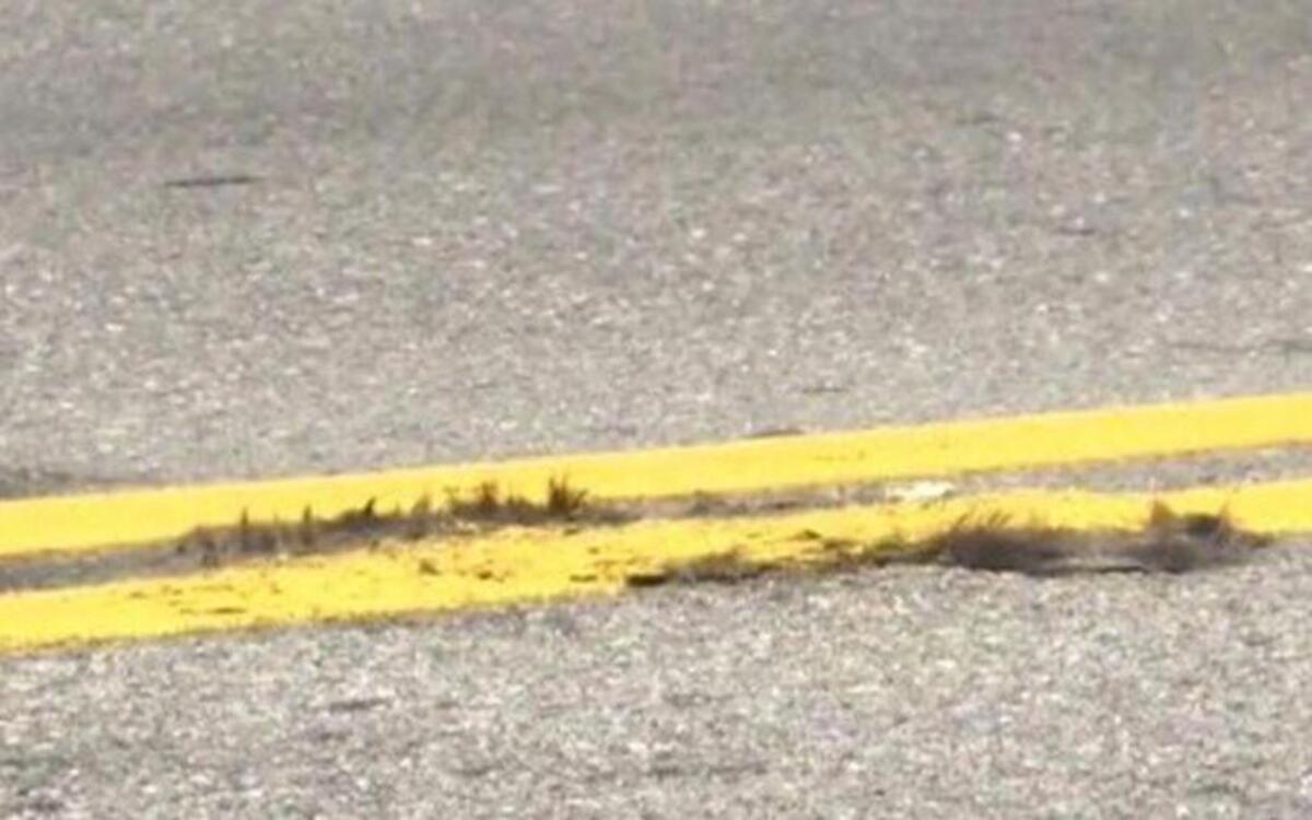 Residents in a north Tulsa, Okla., neighborhood couldn’t believe their eyes recently when they saw a city crew painting new stripes down the middle of their road — right over the roadkill.