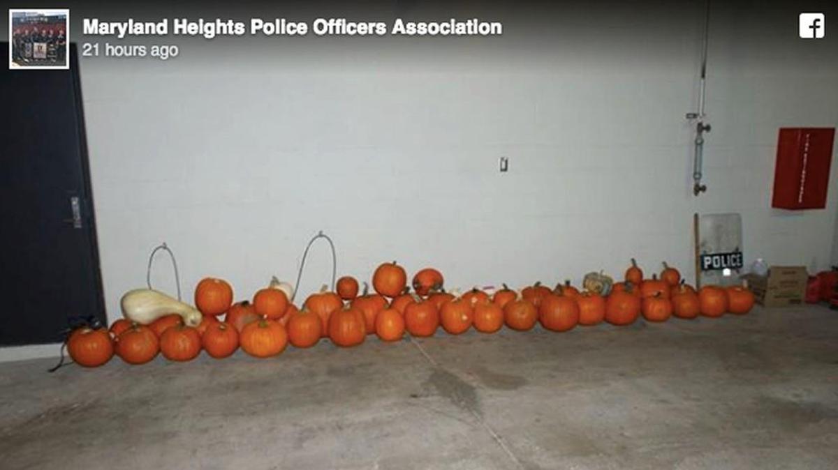 Police in Maryland Heights, Mo. busted a local pumpkin theft ring this week, then came up with a fun way for homeowners to identify their missing squash.