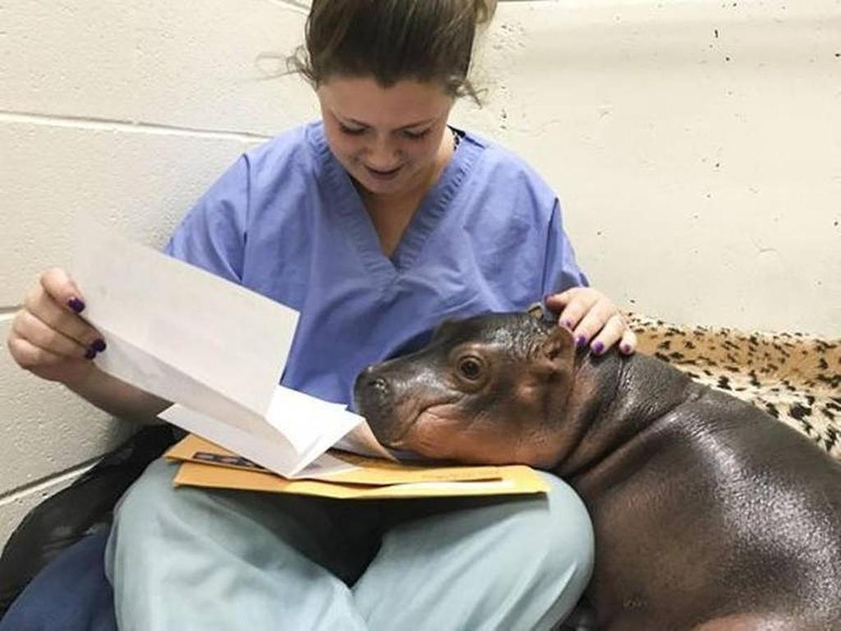 People from around the world have sent Fiona fan mail.